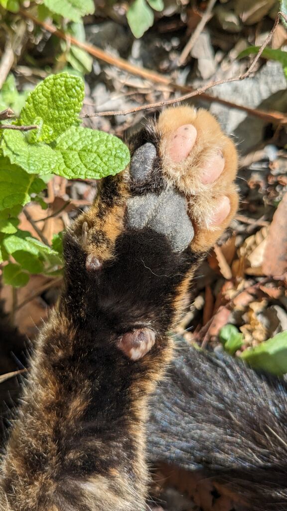 PXL_20231029_024107955