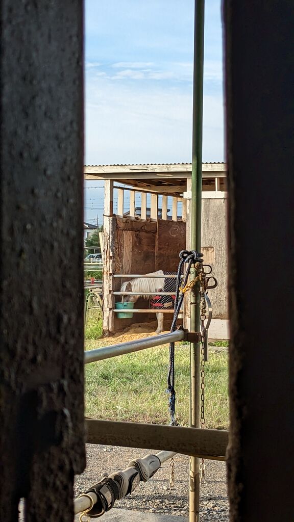 PXL_20231010_214959682