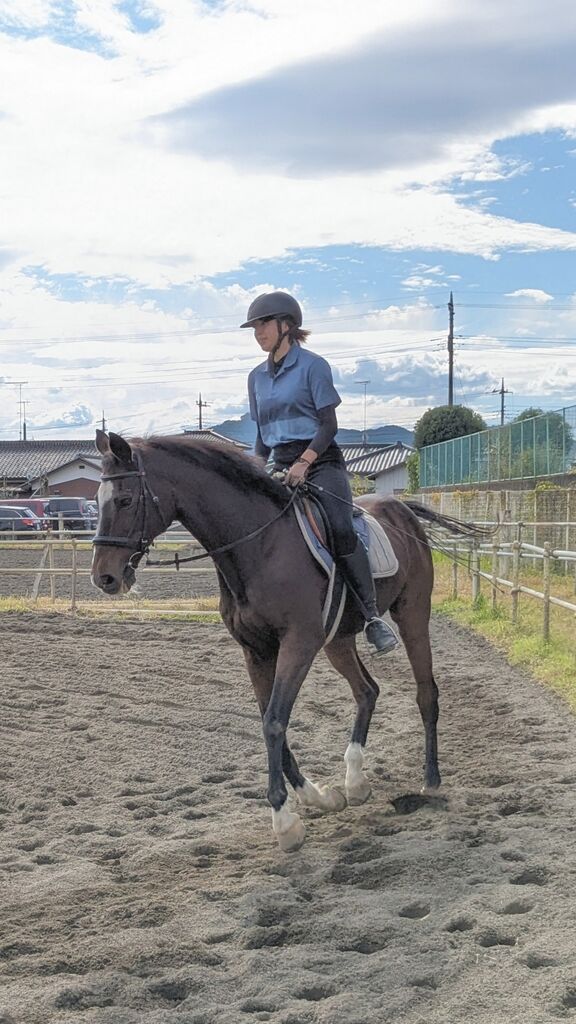 PXL_20231029_033730859~2