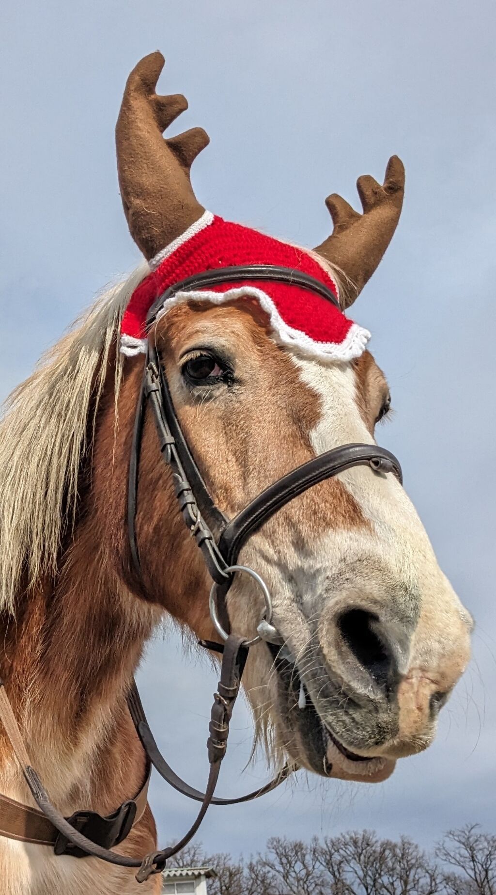 PXL_20231224_024730588~2