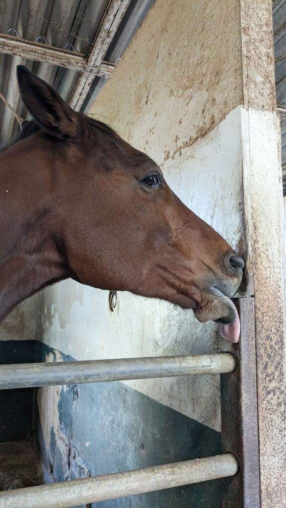 PXL_20231120_021016696