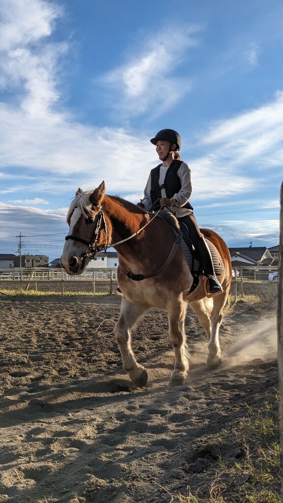 PXL_20231111_061646361