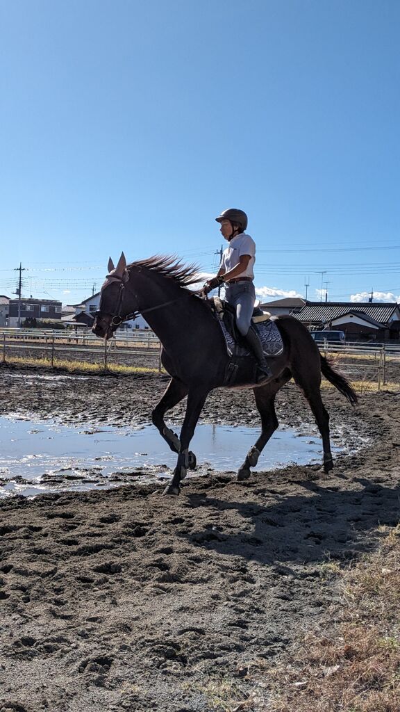 PXL_20231120_013343061