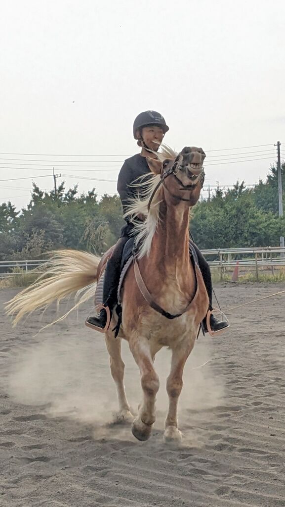 PXL_20231105_011127947