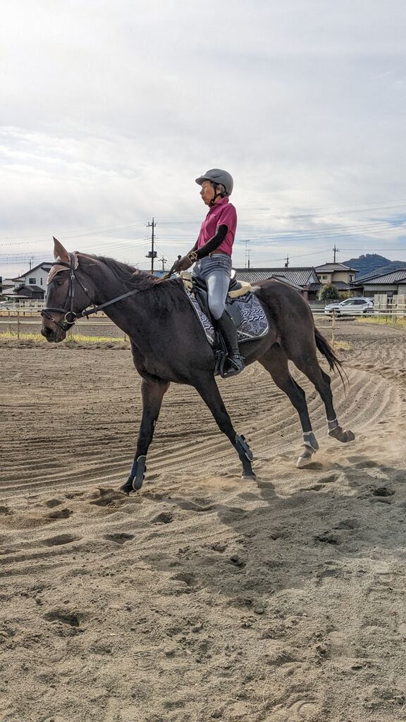 PXL_20231113_013333011