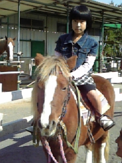 松永彩花ちゃん ｋｒｃほのぼの馬便り