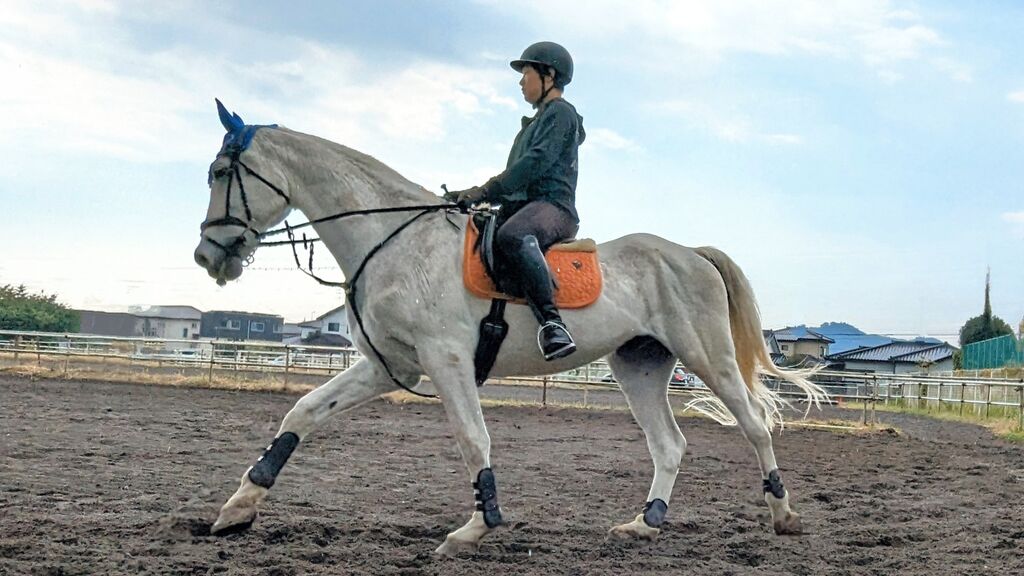 PXL_20231028_011934313~3