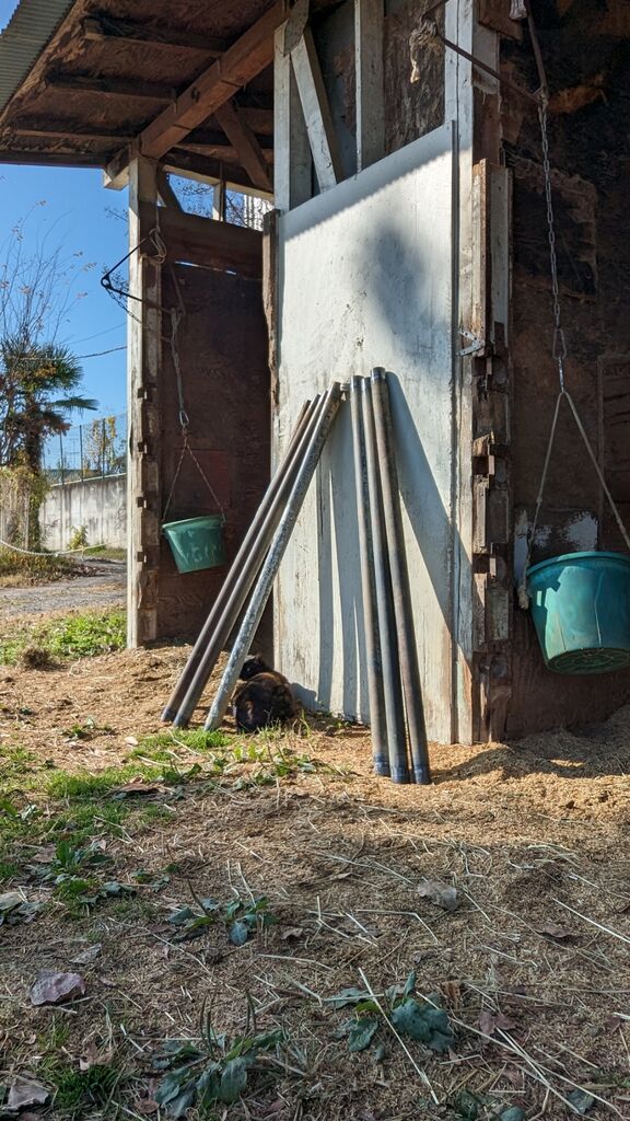 PXL_20231127_013206736