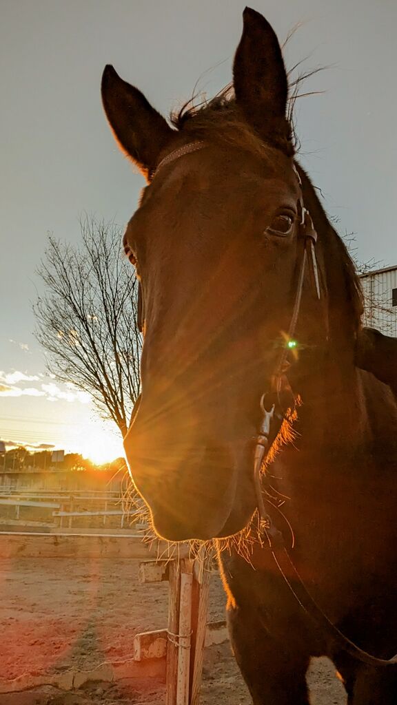 PXL_20231217_070714908~2