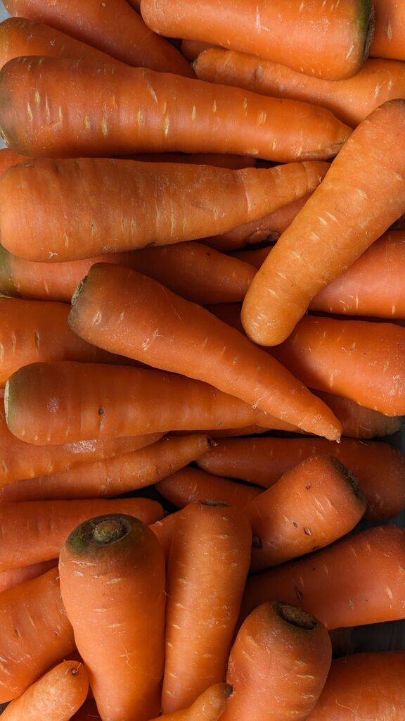 PXL_20240416_082348867