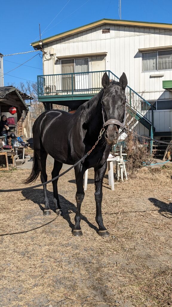 PXL_20240107_025936074