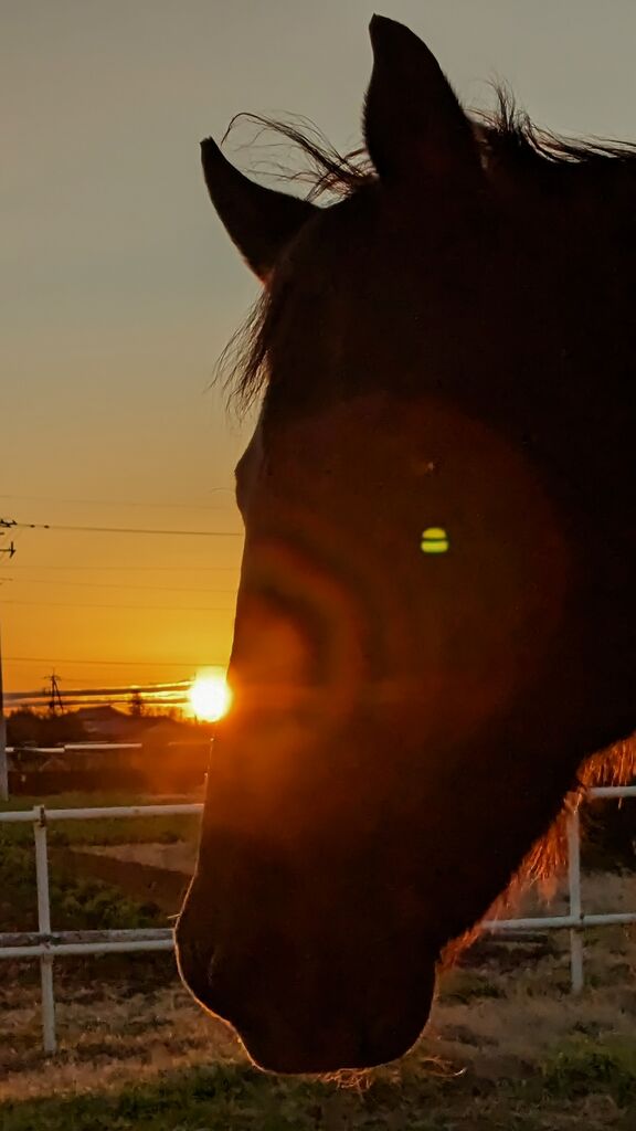 PXL_20231231_220049700~2