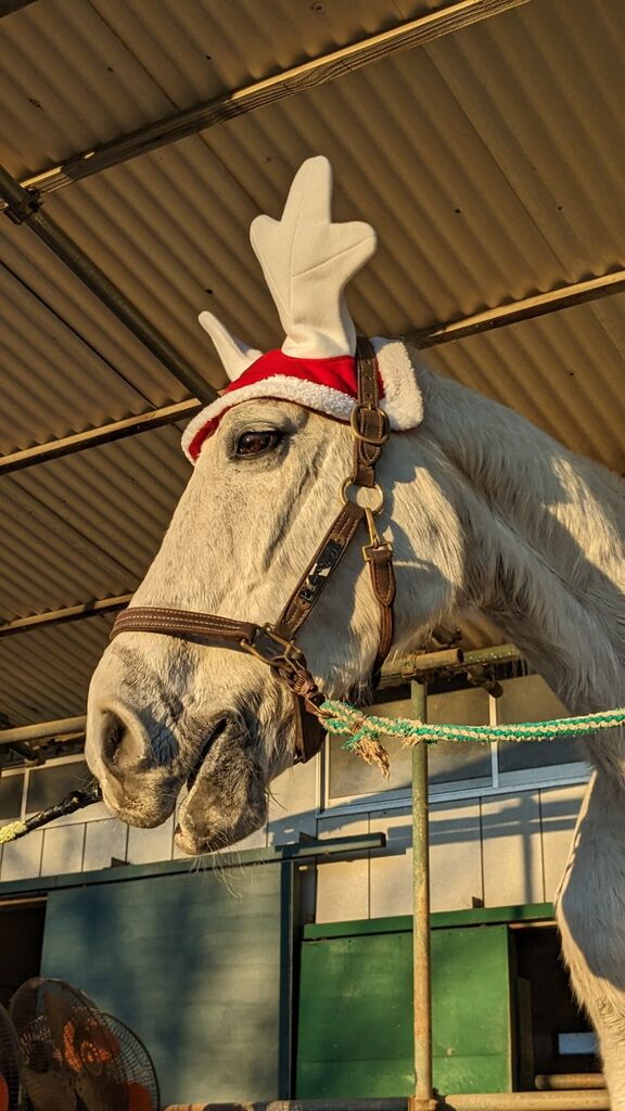 PXL_20231225_065606091