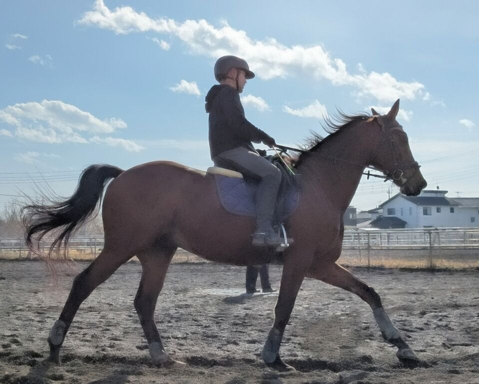 PXL_20231216_024304227~2