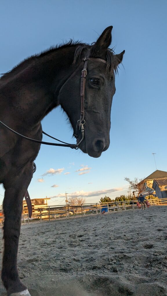 PXL_20231217_070448764