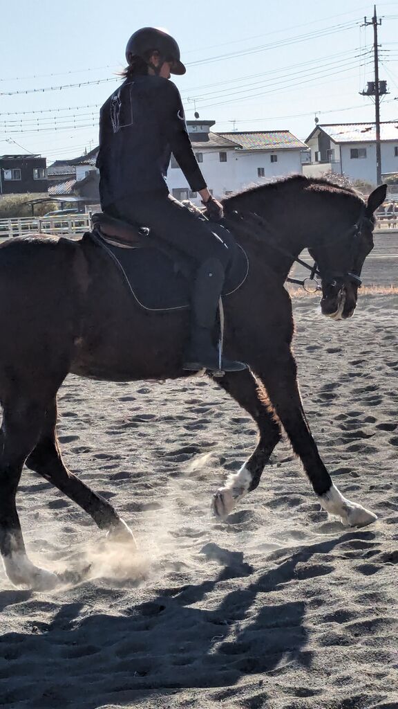 PXL_20240106_035313272