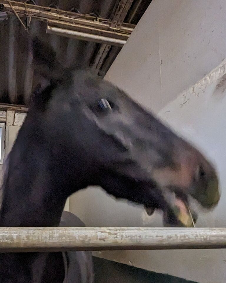 PXL_20240202_081226042~2