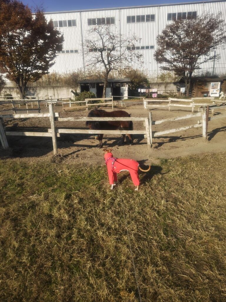 8c415829fe582f583bce0faab3916d07-231127090019305 (1)