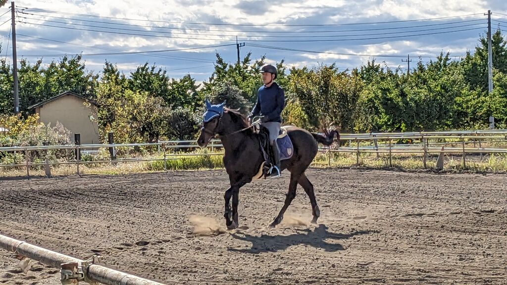 PXL_20231021_001657811