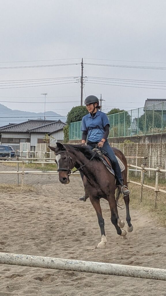 PXL_20231105_033228572~2