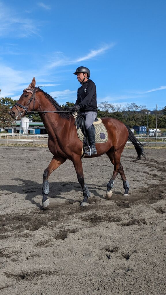 PXL_20231111_023600218