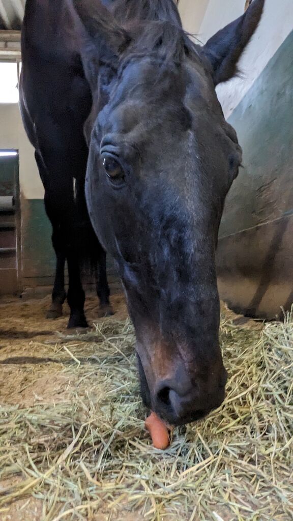 PXL_20240416_082538032