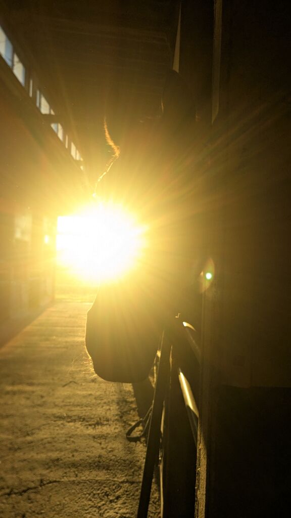 PXL_20241231_221216064