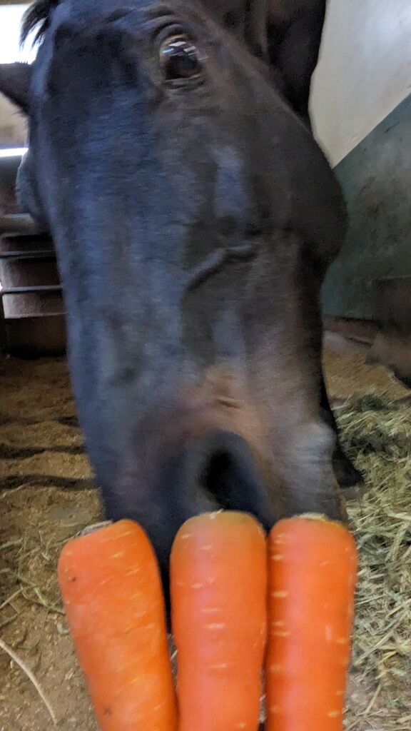 PXL_20240416_082511856