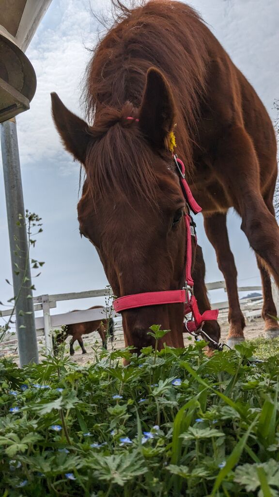 PXL_20240402_022239655