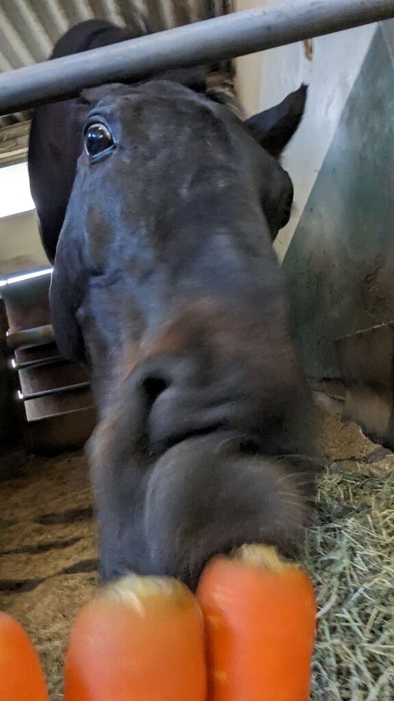 PXL_20240416_082501671