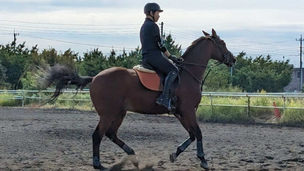 PXL_20231014_011729491~2