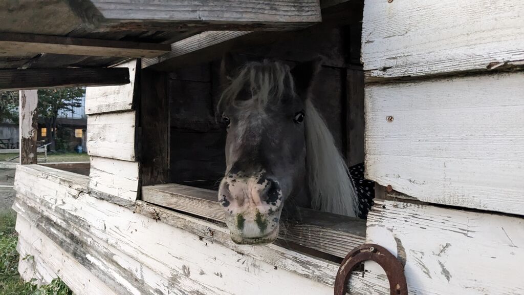 PXL_20231020_080733448