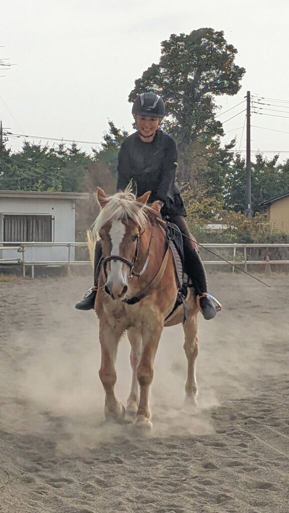 PXL_20231105_011148698