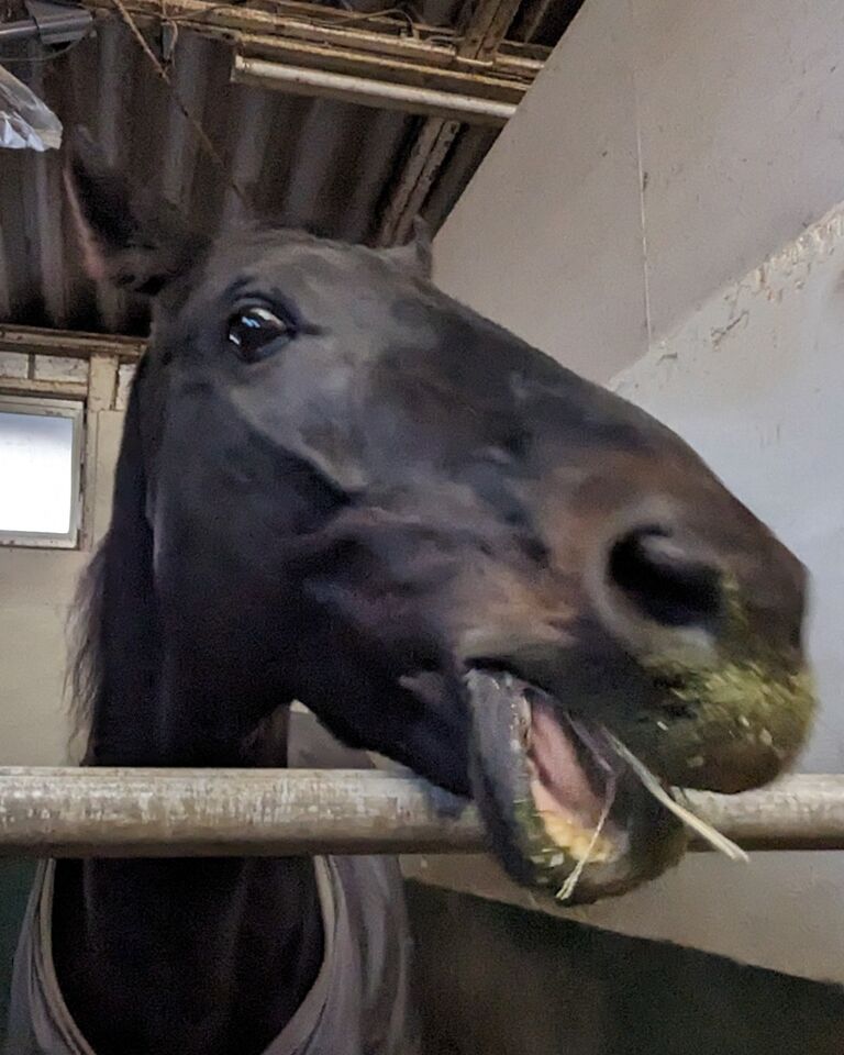 PXL_20240202_081225278~2