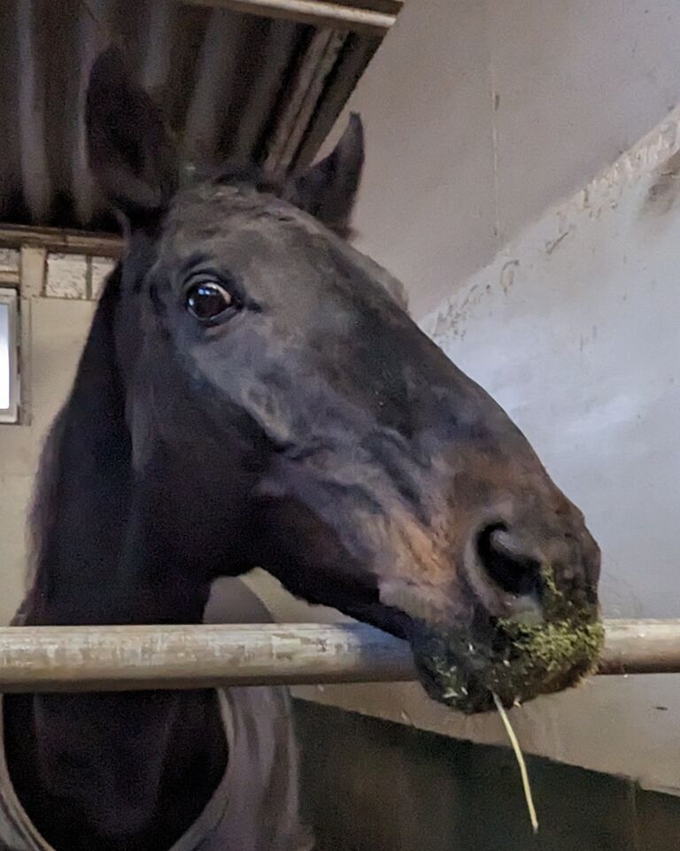 PXL_20240202_081204204~2