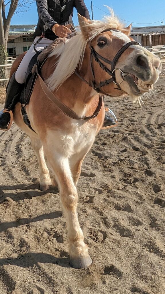 PXL_20240101_004010501~2