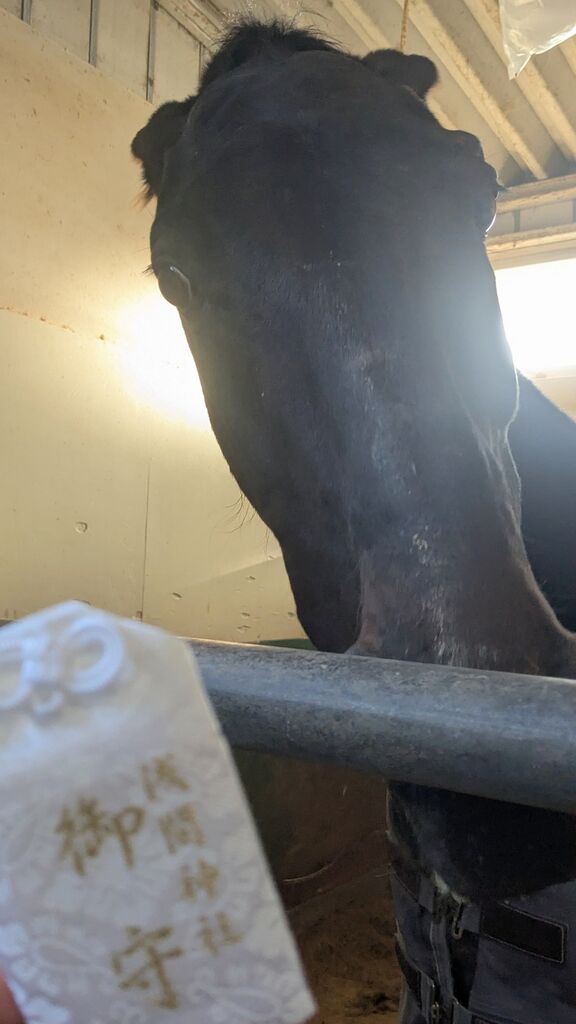 PXL_20250212_071227454