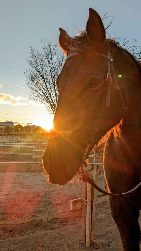 PXL_20231217_070706084~2