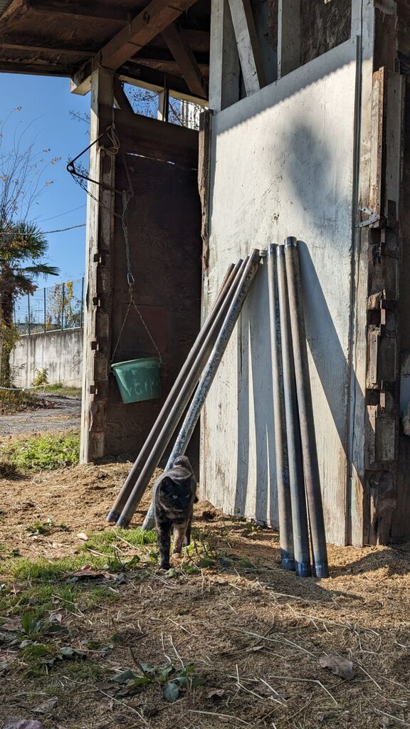 PXL_20231127_013211693