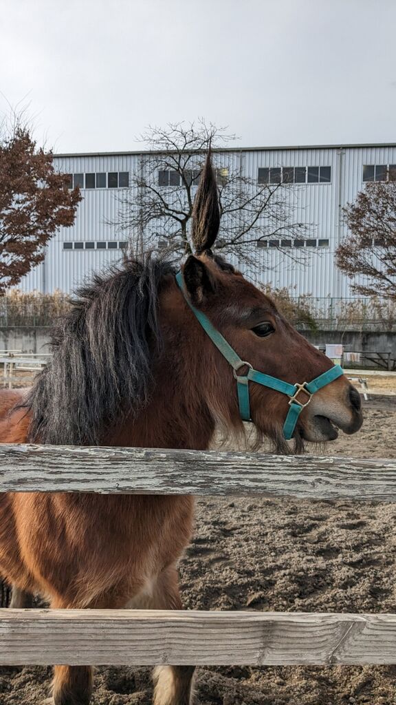 PXL_20231216_053520654