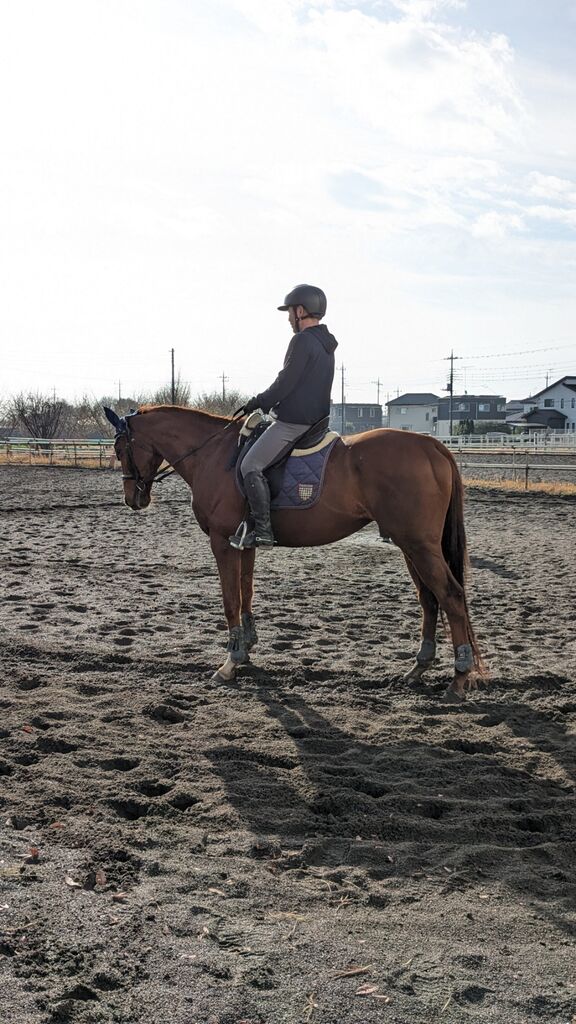 PXL_20231216_003738729