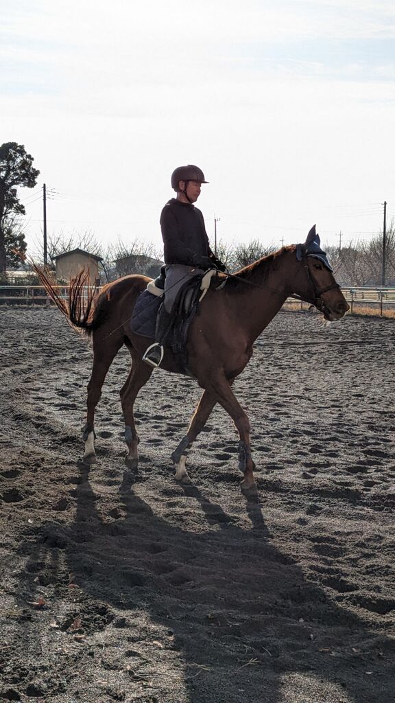 PXL_20231216_002334029