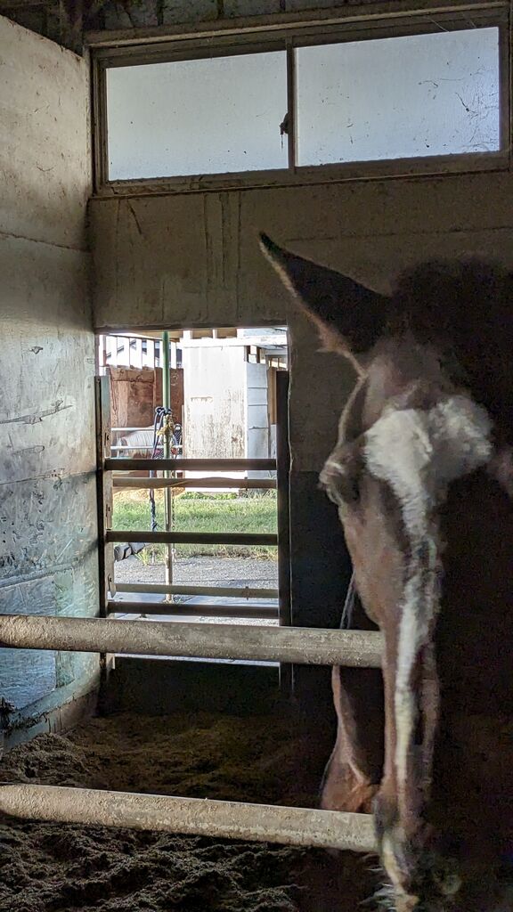 PXL_20231010_215224866