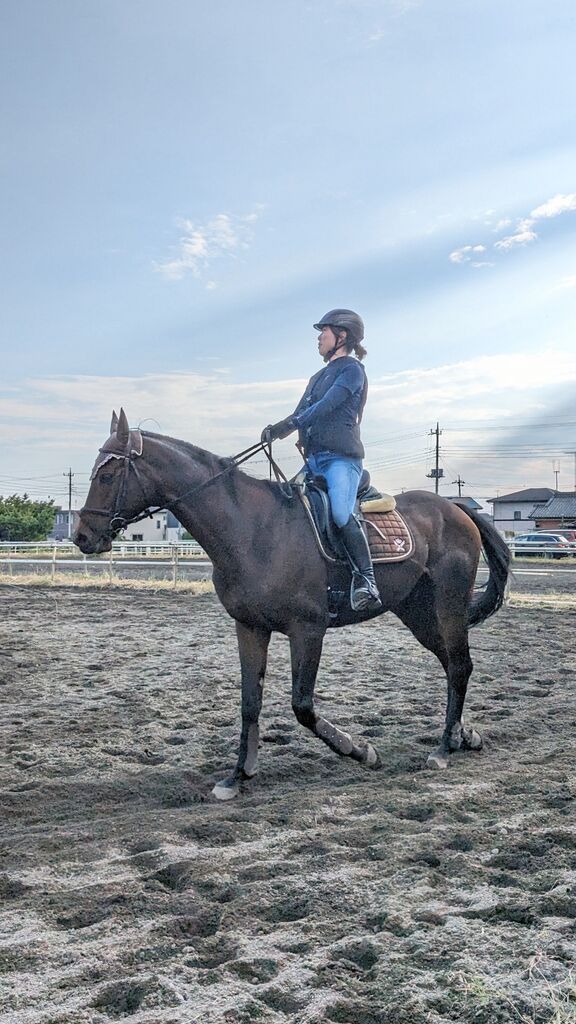 PXL_20231028_053819237