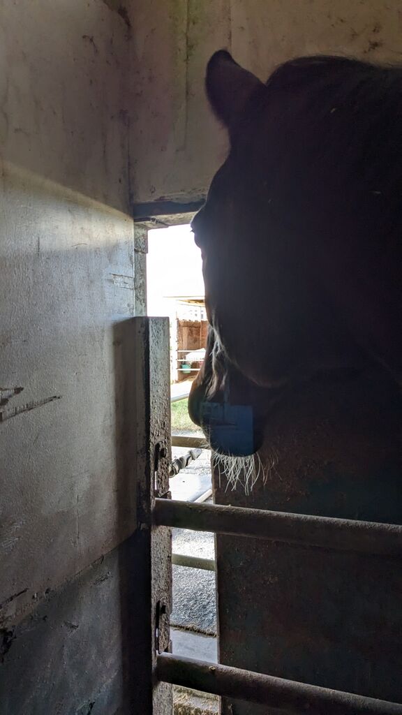 PXL_20231010_215119927