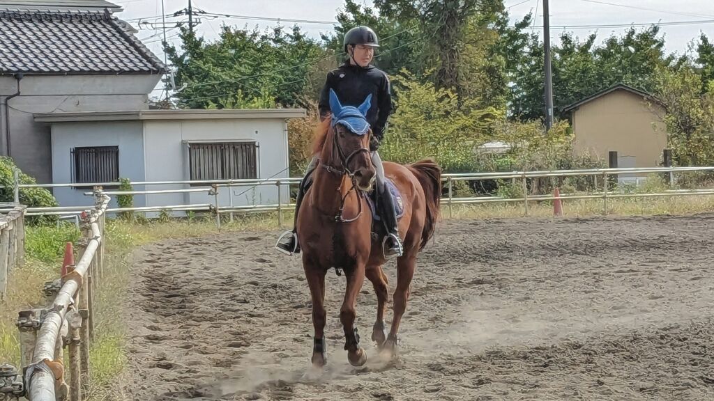 PXL_20231014_021106934~2