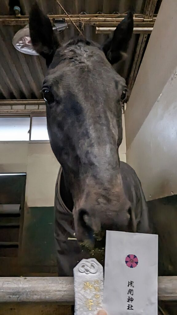 PXL_20240202_081324447~2