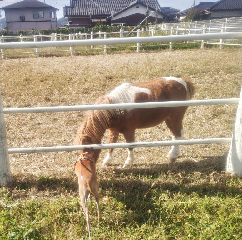 d493fa6b542516c040e799c0c698c272-231023090508484~2 (1)