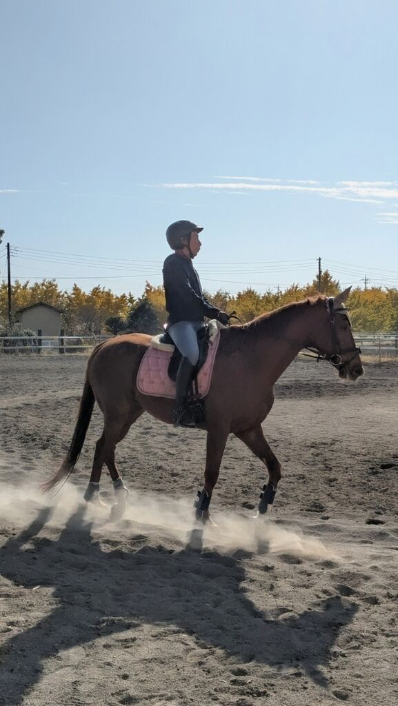 PXL_20231127_013344574~2