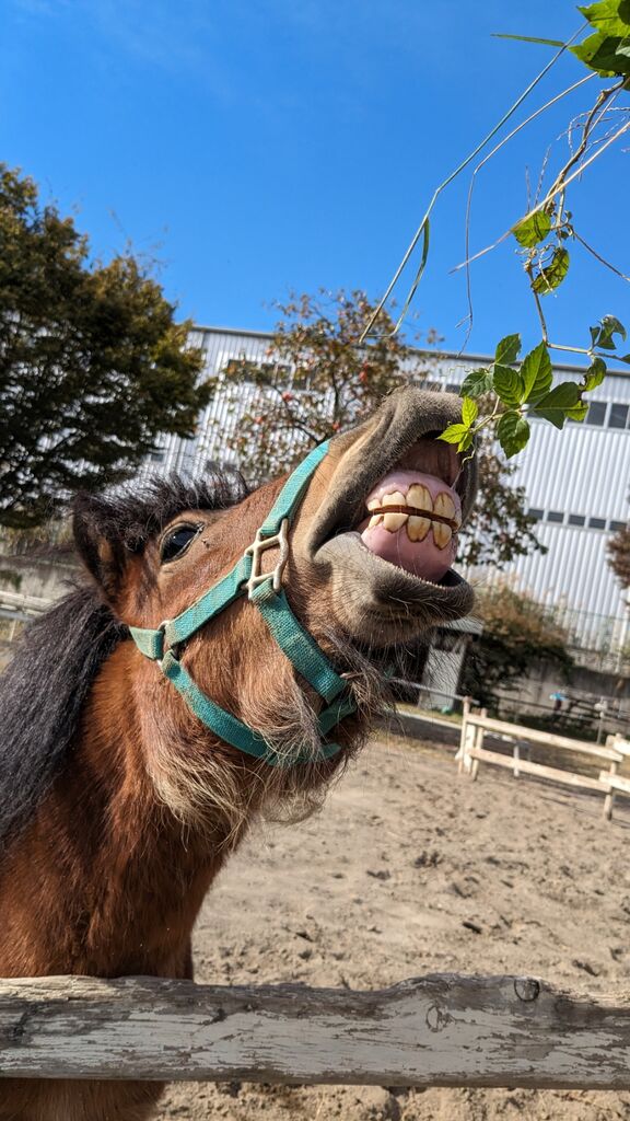 PXL_20231111_030430815